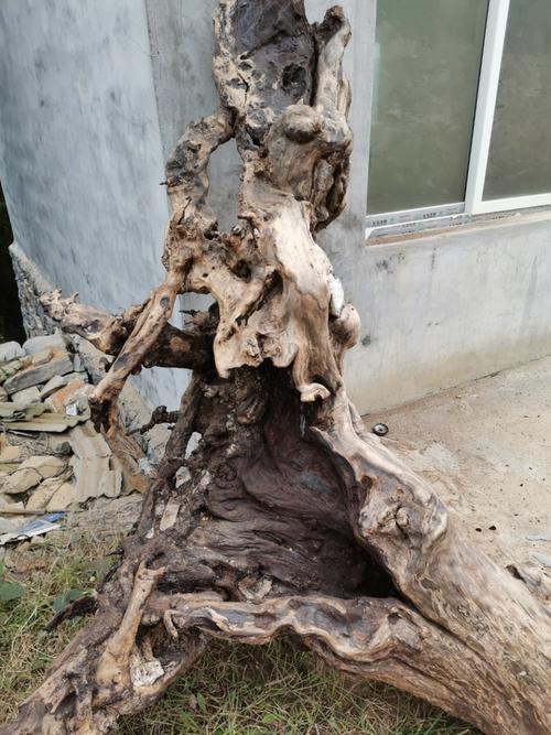 北京收购树根根雕