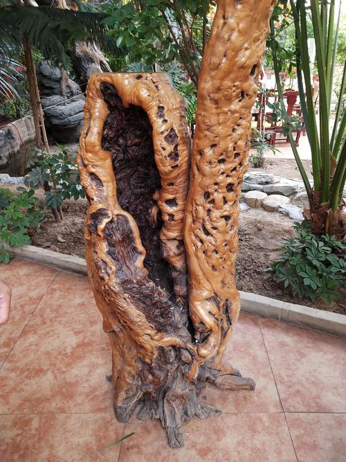 枣树根雕刻