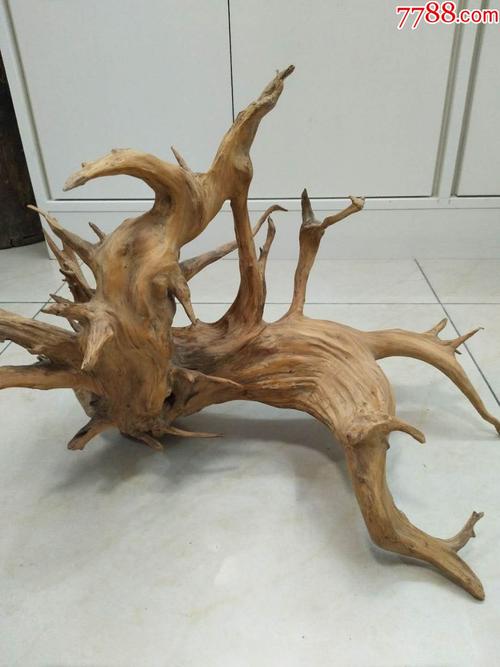 柏树树根雕刻用