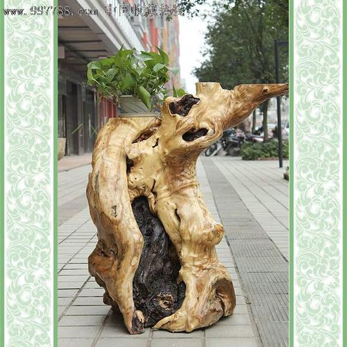 皂荚树根做根雕